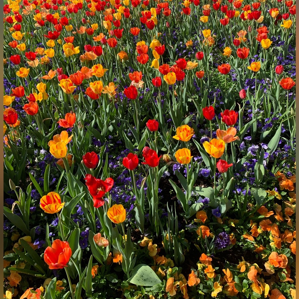 Meet your Posher, Isabel